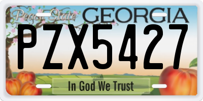 GA license plate PZX5427