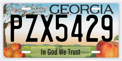 GA license plate PZX5429