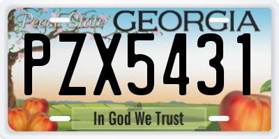 GA license plate PZX5431
