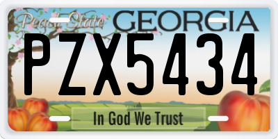 GA license plate PZX5434