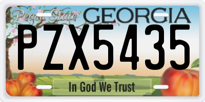 GA license plate PZX5435