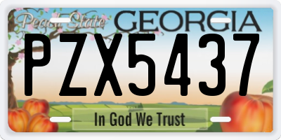 GA license plate PZX5437