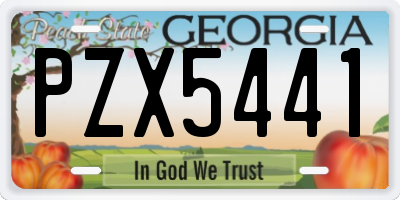 GA license plate PZX5441