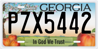 GA license plate PZX5442