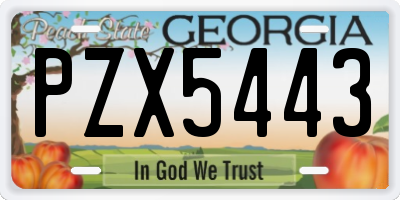 GA license plate PZX5443