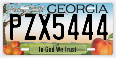 GA license plate PZX5444
