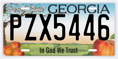 GA license plate PZX5446