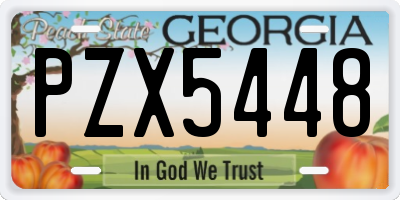 GA license plate PZX5448