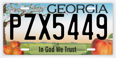 GA license plate PZX5449