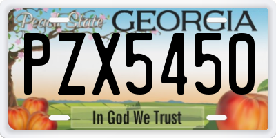 GA license plate PZX5450