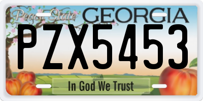 GA license plate PZX5453