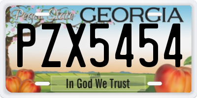 GA license plate PZX5454