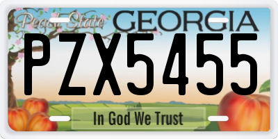 GA license plate PZX5455