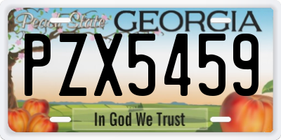 GA license plate PZX5459