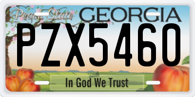 GA license plate PZX5460