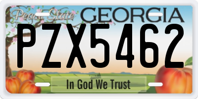 GA license plate PZX5462