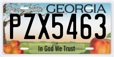 GA license plate PZX5463
