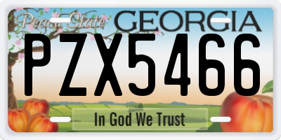 GA license plate PZX5466