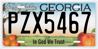 GA license plate PZX5467