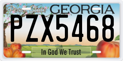 GA license plate PZX5468