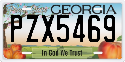 GA license plate PZX5469