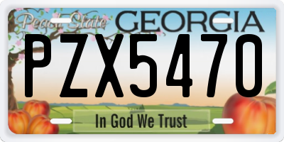GA license plate PZX5470
