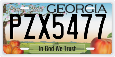 GA license plate PZX5477