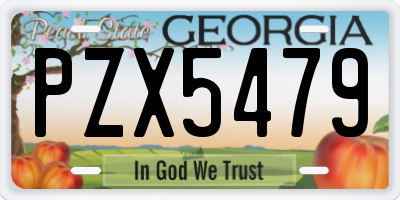 GA license plate PZX5479