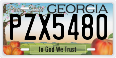 GA license plate PZX5480