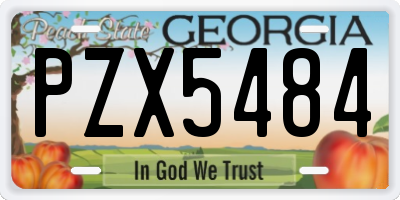 GA license plate PZX5484