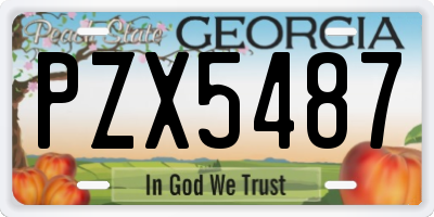 GA license plate PZX5487