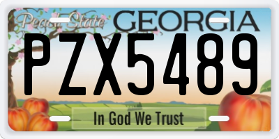GA license plate PZX5489