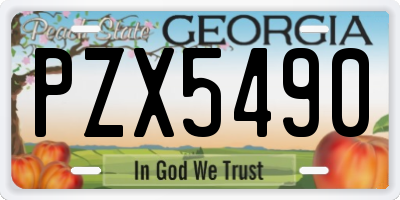 GA license plate PZX5490