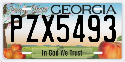 GA license plate PZX5493
