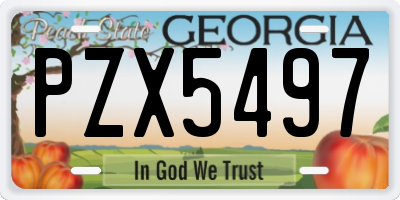 GA license plate PZX5497