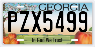 GA license plate PZX5499