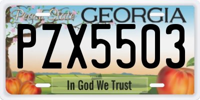 GA license plate PZX5503