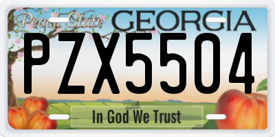 GA license plate PZX5504