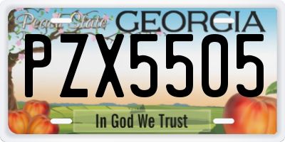 GA license plate PZX5505
