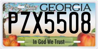 GA license plate PZX5508