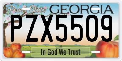 GA license plate PZX5509