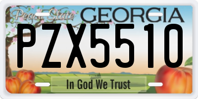 GA license plate PZX5510