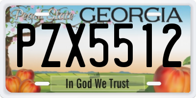 GA license plate PZX5512