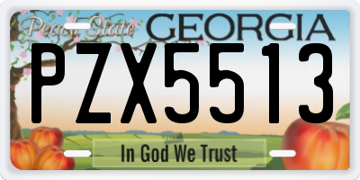 GA license plate PZX5513