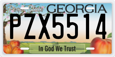 GA license plate PZX5514