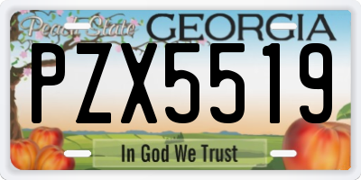 GA license plate PZX5519