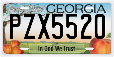 GA license plate PZX5520