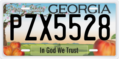 GA license plate PZX5528