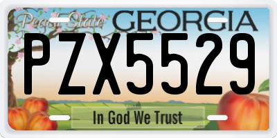 GA license plate PZX5529