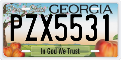 GA license plate PZX5531